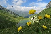 89 Al Passo Branchino (1821 m) vista sul Lago Branchino con botton d'oro